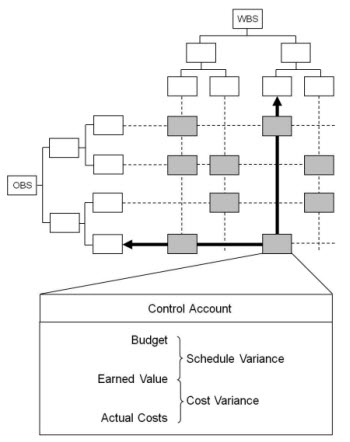 EVM: Summarizing data by WBS or OBS